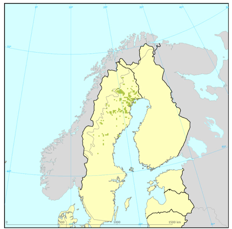 norna sverige