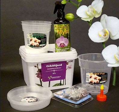 Kit med allt man behöver för att plantera om sin orkide